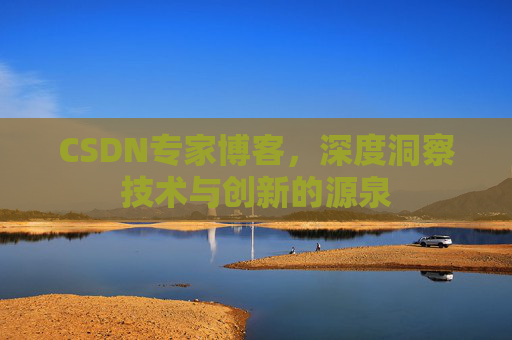 CSDN专家博客，深度洞察技术与创新的源泉